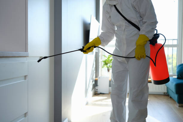 Professional Mold Removal in Rye Brook, NY